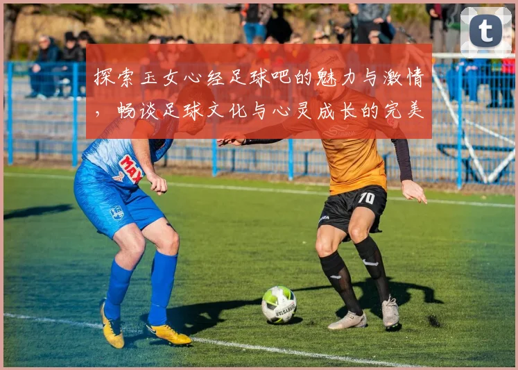 探索玉女心经足球吧的魅力与激情，畅谈足球文化与心灵成长的完美结合