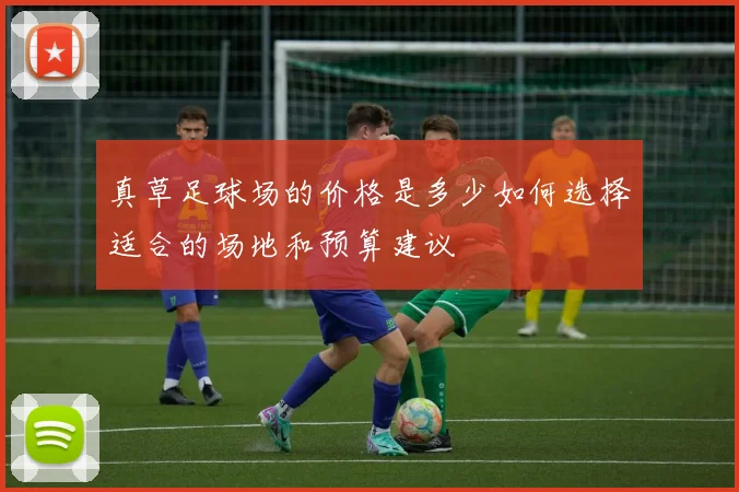 真草足球场的价格是多少如何选择适合的场地和预算建议